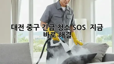 대전 중구 긴급 청소 SOS 🚨 지금 바로 해결!